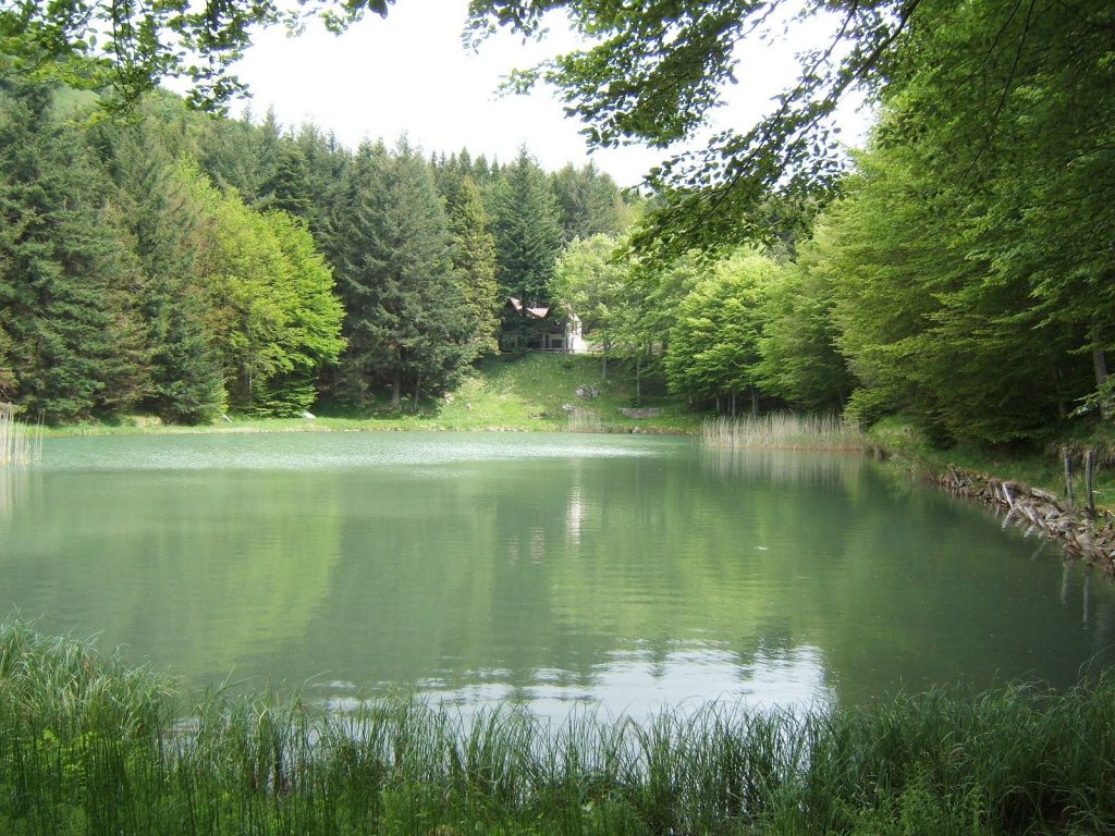 Detached property with private lake